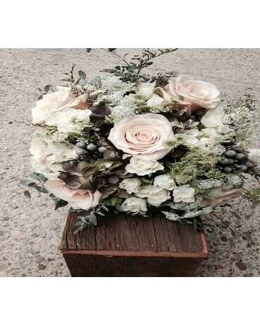 PFB Vintage Cream BB